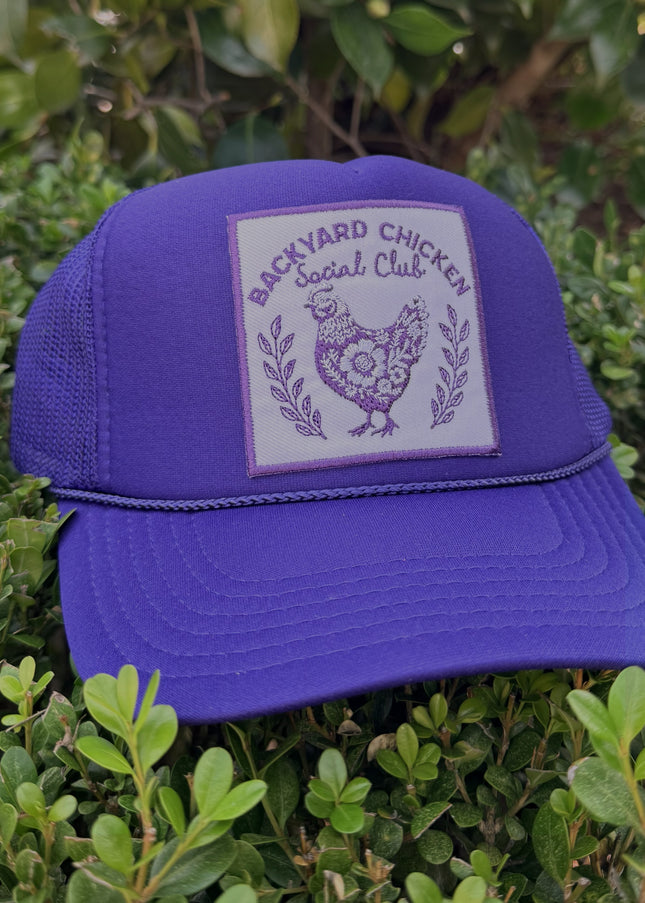 Backyard Chicken Social Club 🐔💜